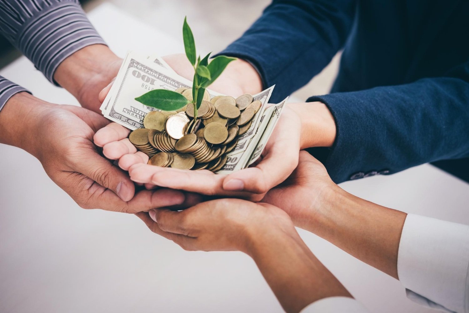 Cropped hands of business colleagues cupping currency with plant in office