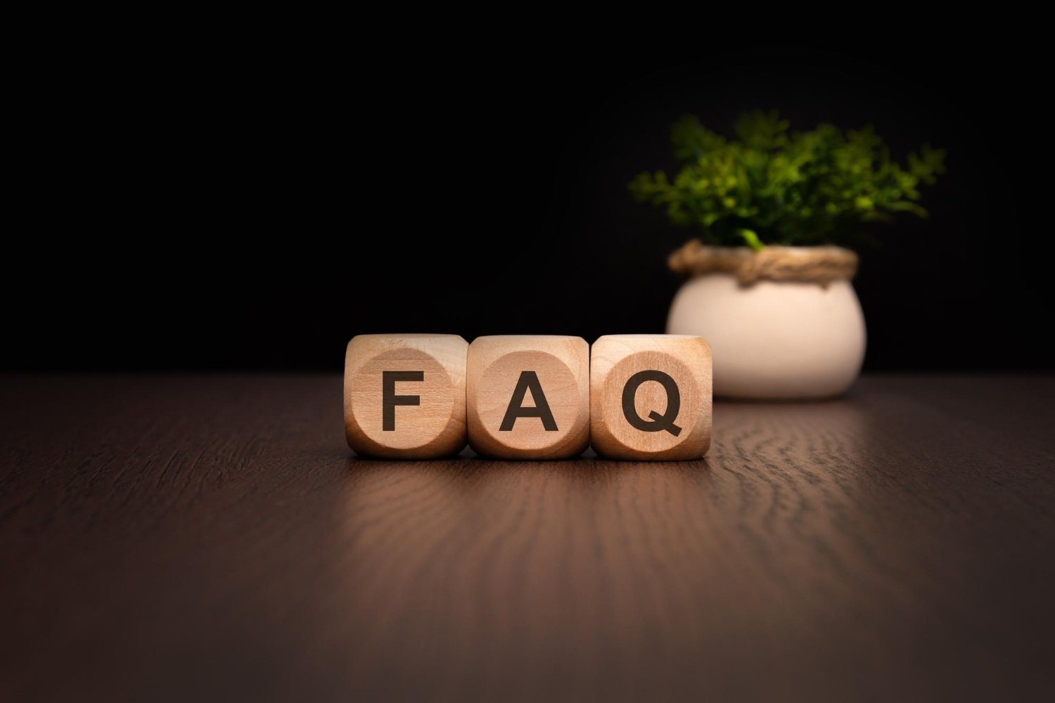Faq display with lively greenery design enhancing aesthetics and functionality