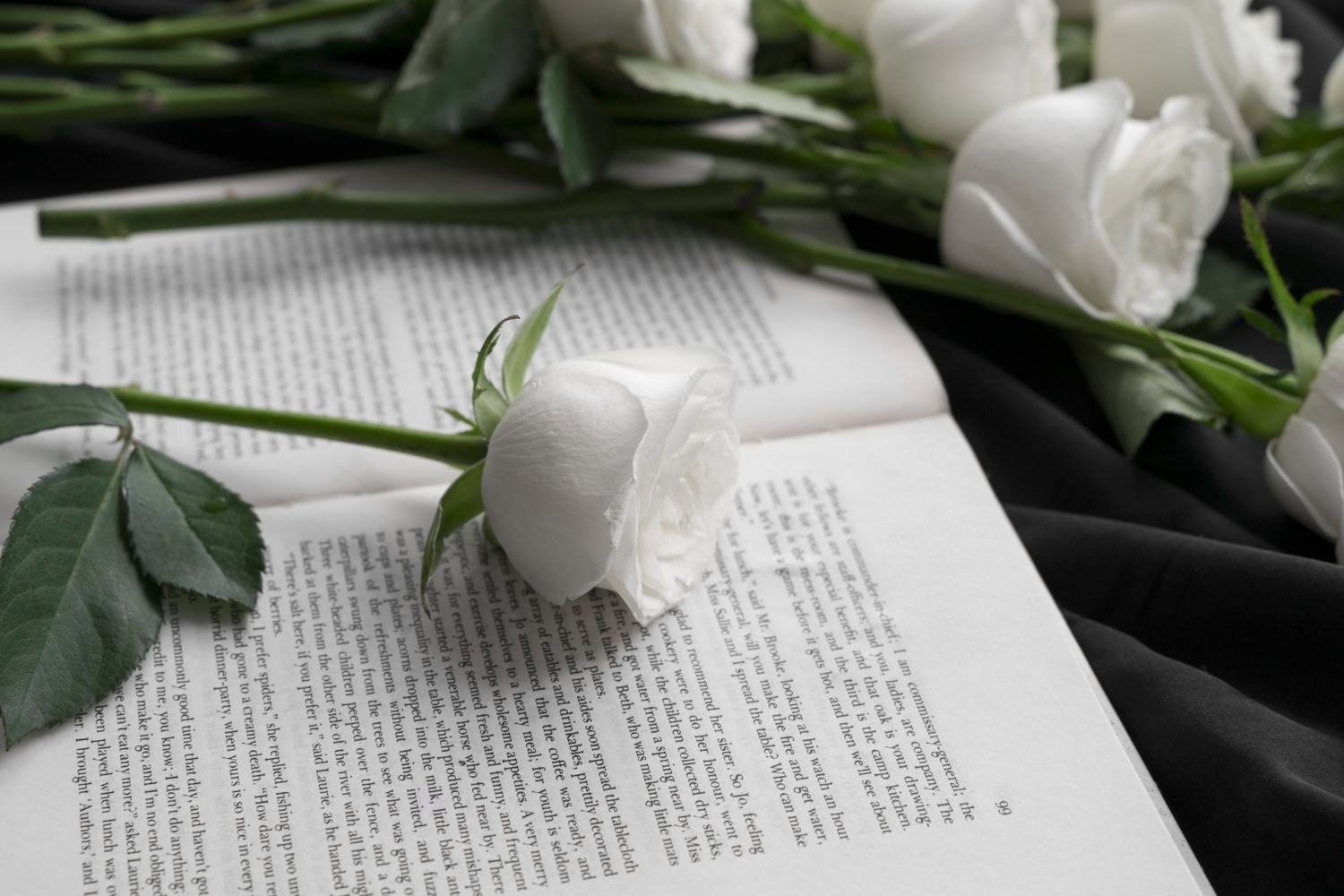View of delicate white roses with book